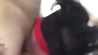 A Young Guy Sucking Cock