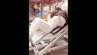 straight Korean Bull with empty bulge white tights