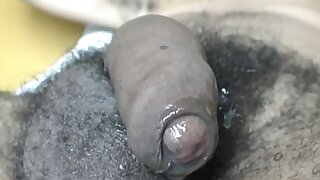 Vulcan Amateurs 06.1B Luis