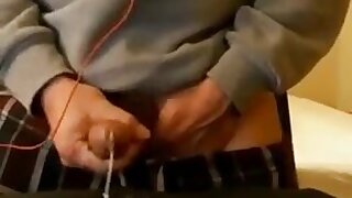 Hypercum twink *no copyright infringement intended- video found on the web*