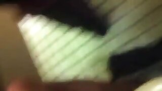 Fucked In A Public Toilet
