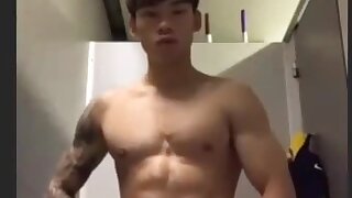 Toilet cum